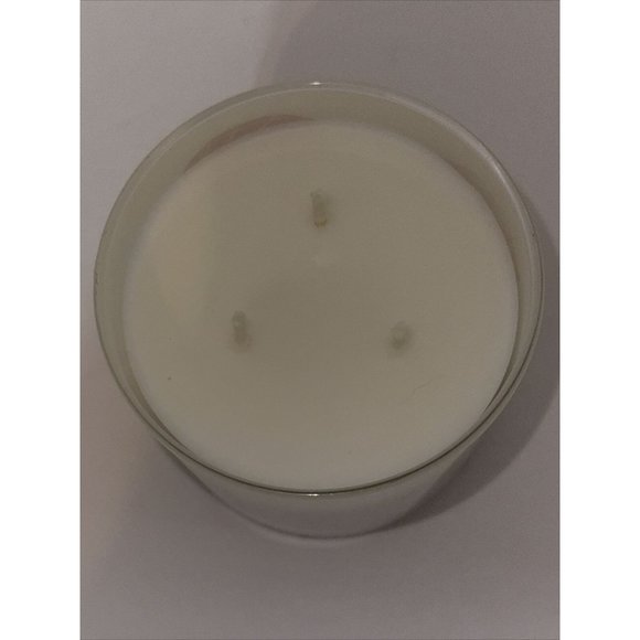 PINK PINEAPPLE SUNRISE Large 3 Wick Candle 14.5 oz Bath & Body Works 2023 Lot 2 - Picture 11 of 16